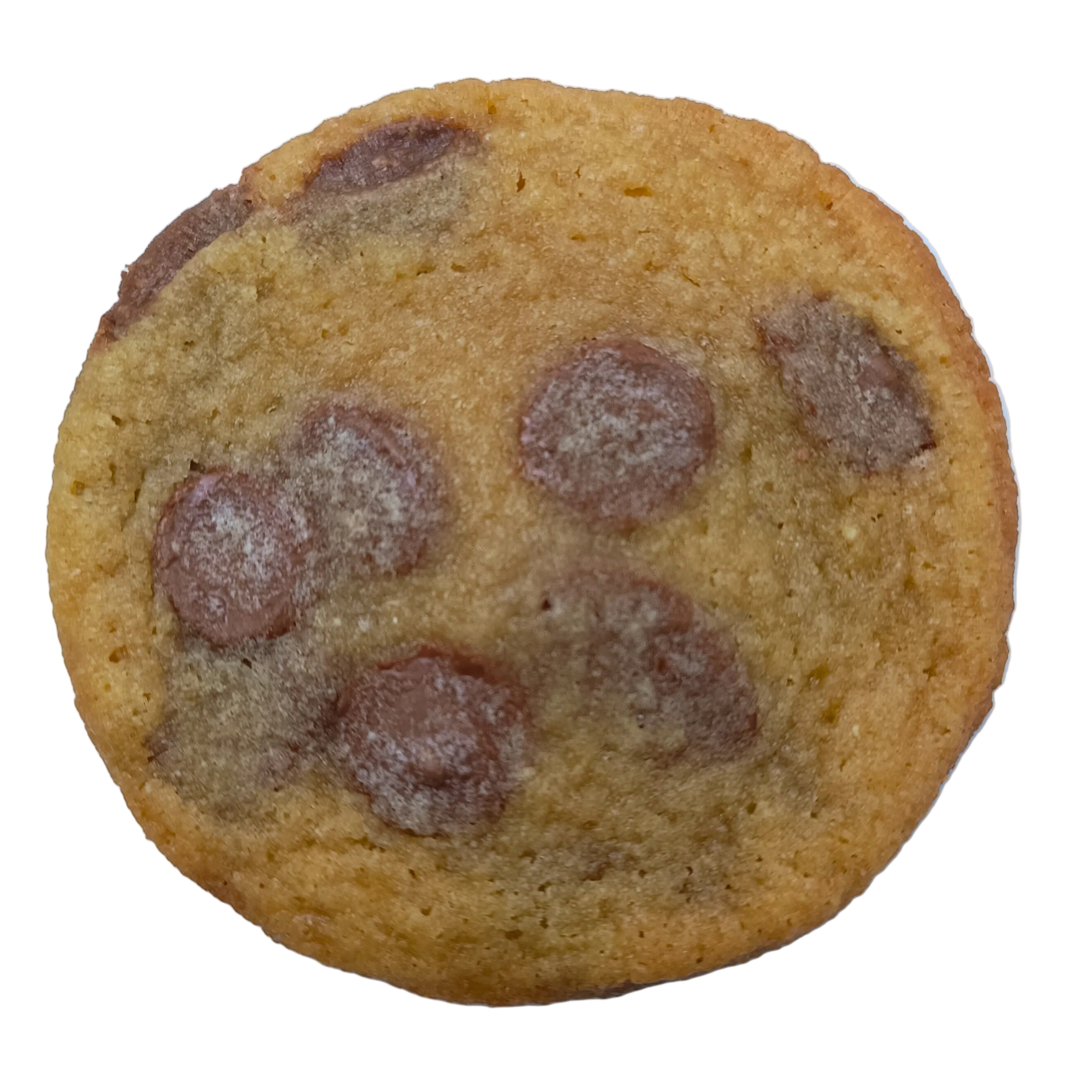 Chocolate Chip (S)